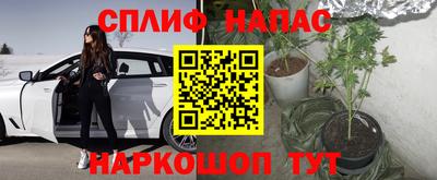 герыч Новозыбков