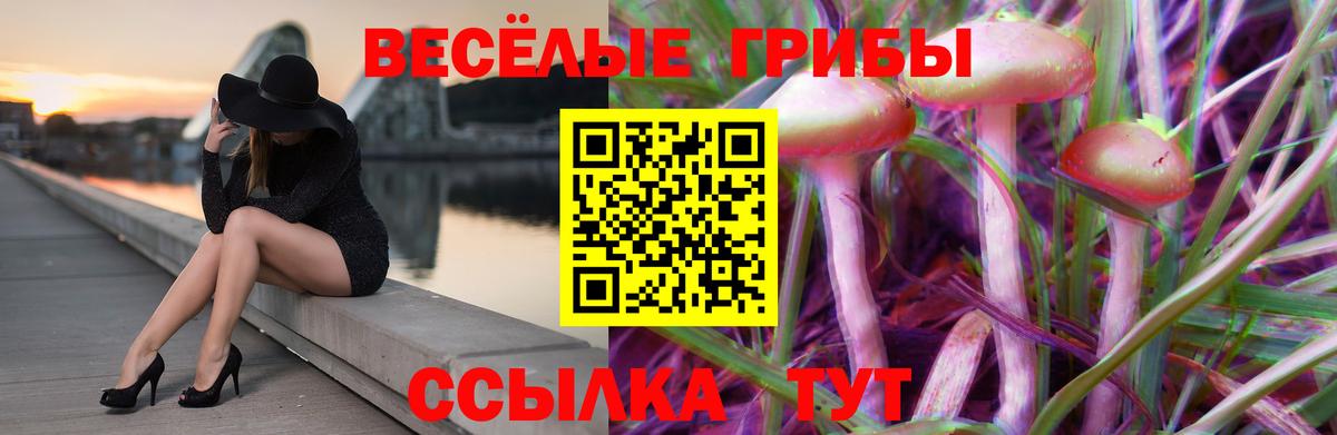 Галлюциногенные грибы прущие грибы  Вход с VPN  Сочи 